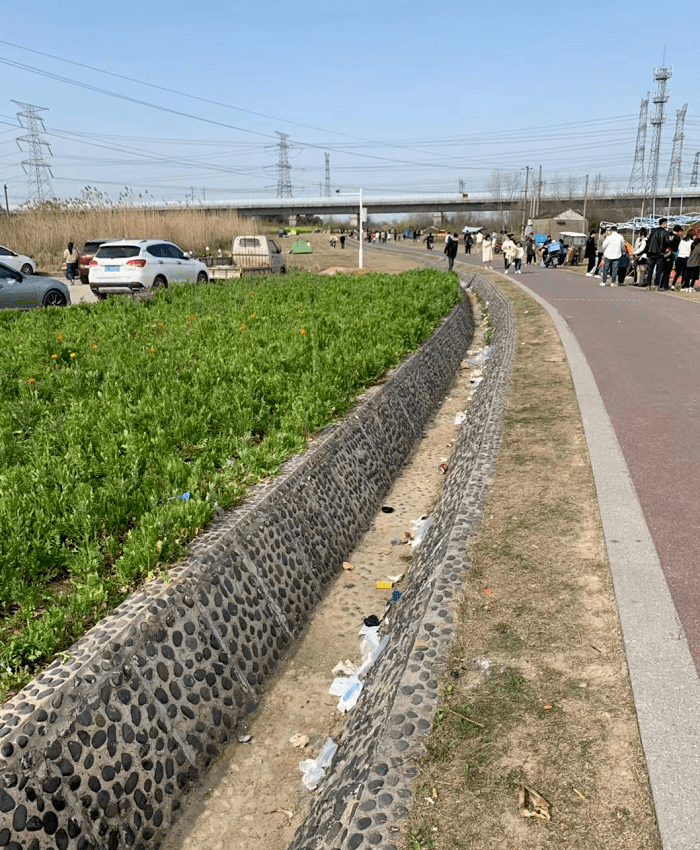 这一幕大煞风景!_公园_市民_丹阳市