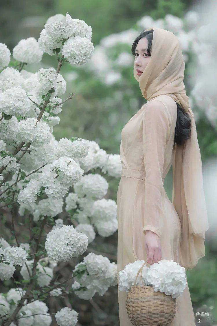 楠溪江畔拍的人像绣球花真美一起欣赏下