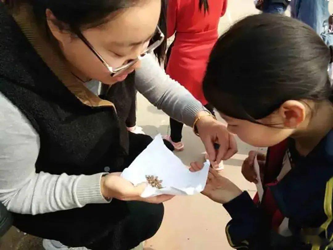 康红舒:此生,做个像农夫一样的老师吧