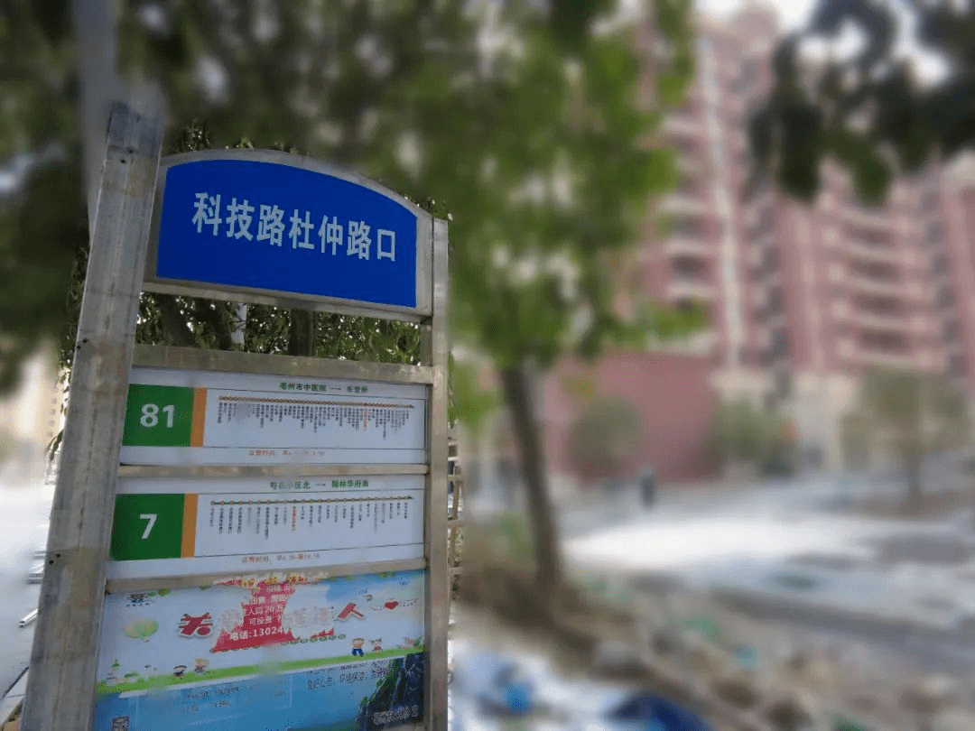 市区多所学校门前增设公交站点