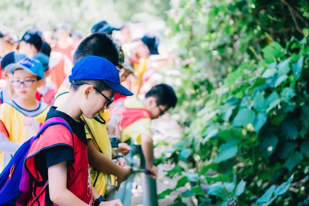 浙江红村研学营地五一趣自然二日营开始报名啦
