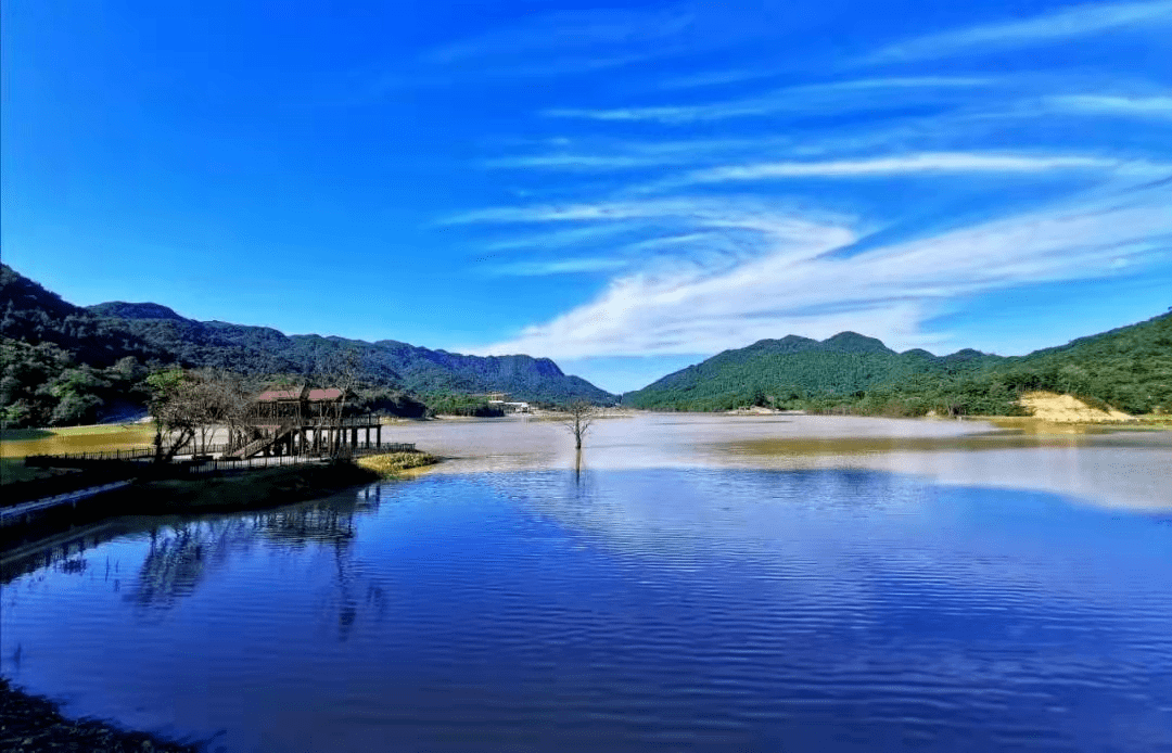 周末首选赏广元春日美景品月坝特色美食