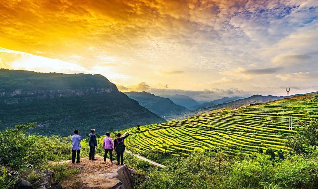 丰都县栗子乡:高质量推进乡村振兴开新局_帮扶_工作_攻坚