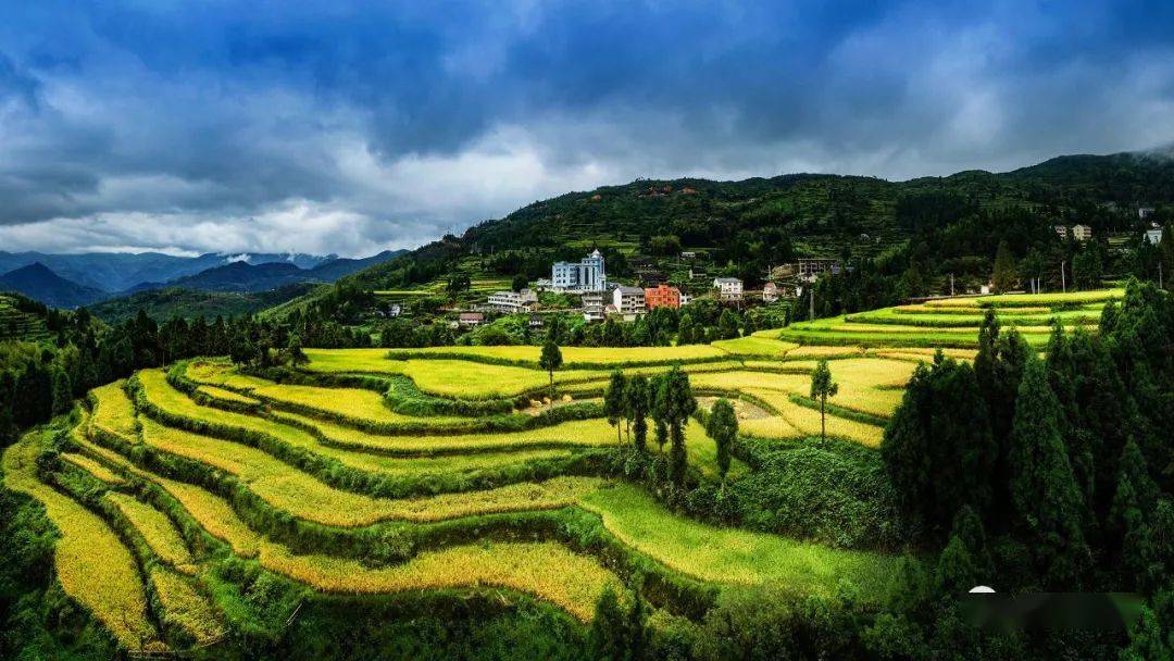 收藏丨泽雅镇获省级革命老区乡镇36个村被认定为市级革命老区村