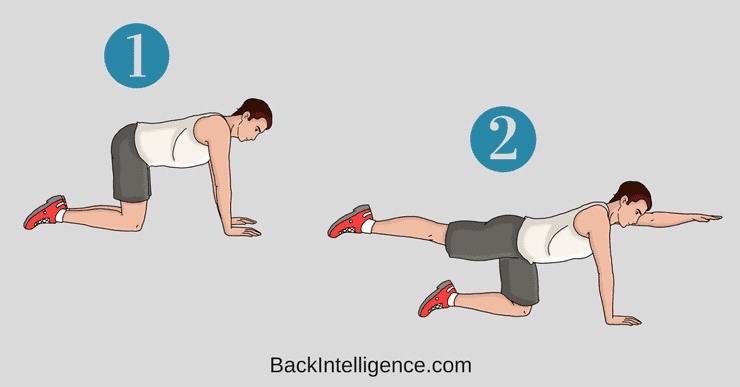 节延展,重复10-15次吸气,骨盆向前转动卷尾骨,含胸弓背向上猫牛式准备