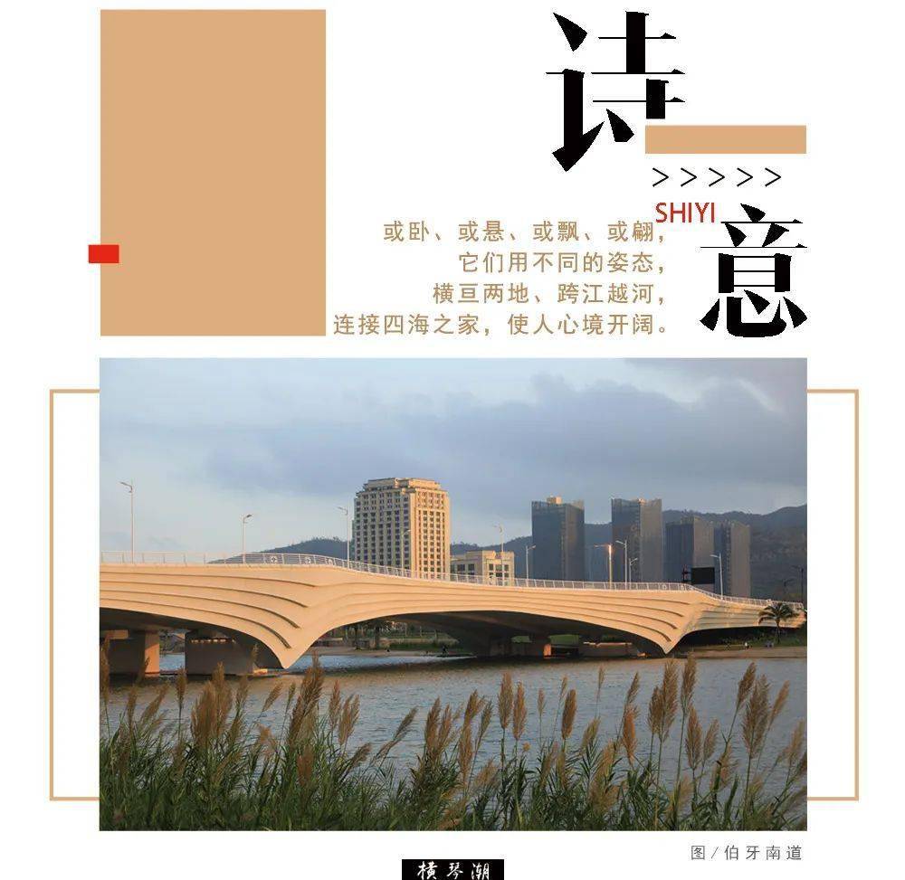 横琴这九座桥,炫酷美丽!还藏着一个秘密……_澳门_城市_翼桥