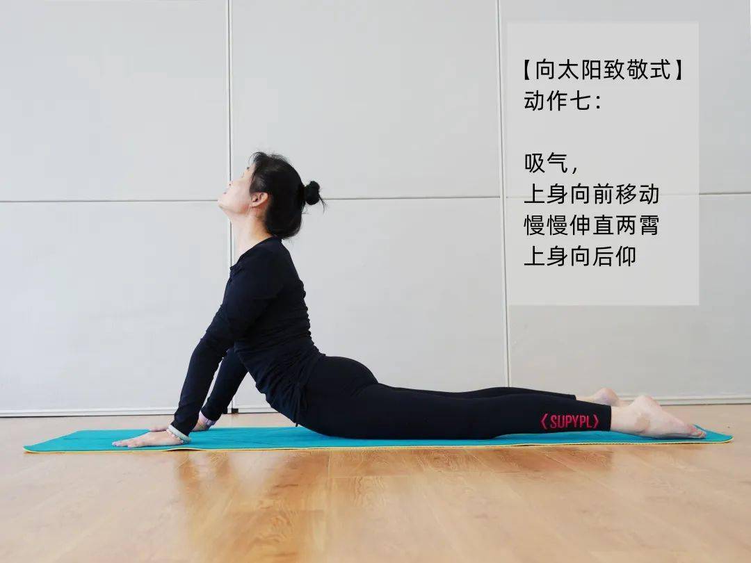 "向太阳致敬式"由12个姿势组成,用不同的方式活动脊椎并伸展四肢.