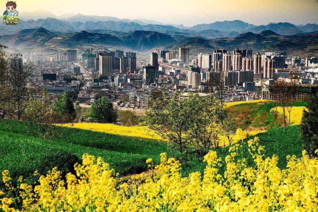 这才是成县最美的春色