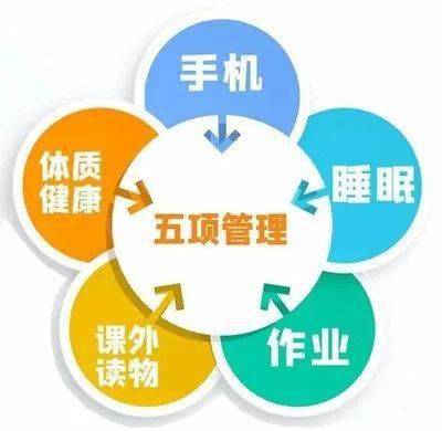 双减推进五项管理夯实生命之基山城路小学