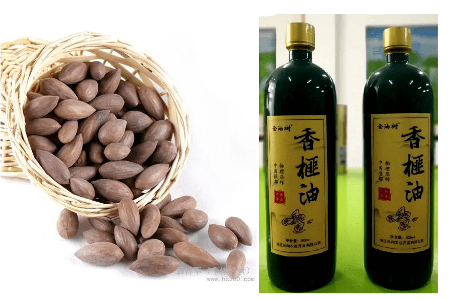 4香榧籽油大麻种籽油是从大麻种籽中提取的天然油脂,脂肪酸组成多为多