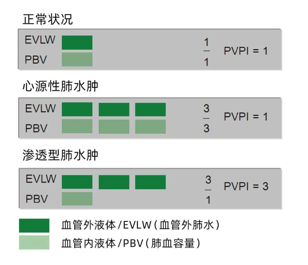 cvp什么意思 来自搜狐网
