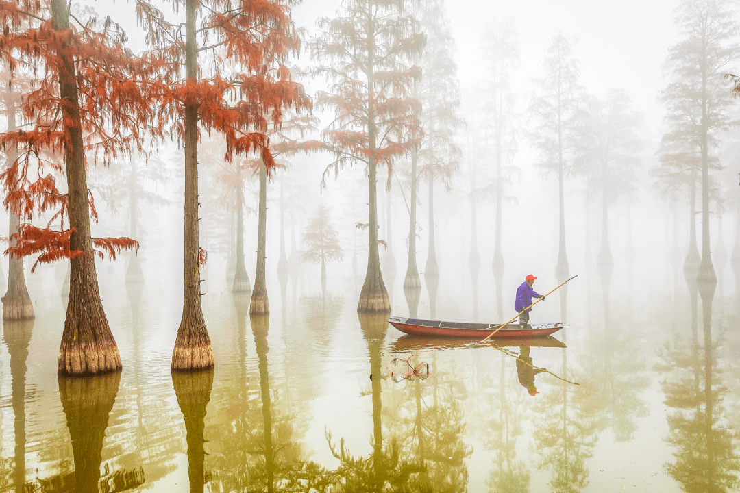 六五环境日生态环境保护主题摄影作品选登6