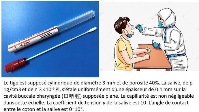 核酸检测棉签为啥都要抹两三下大学老师在线授课用数值模拟实验分析