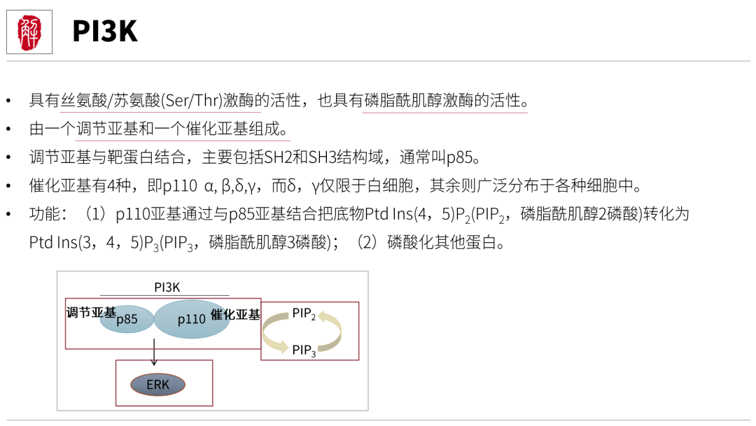 PI3K/Akt信号通路取得重要进展，这个热门信号通路必须要学_科研_细胞_研究