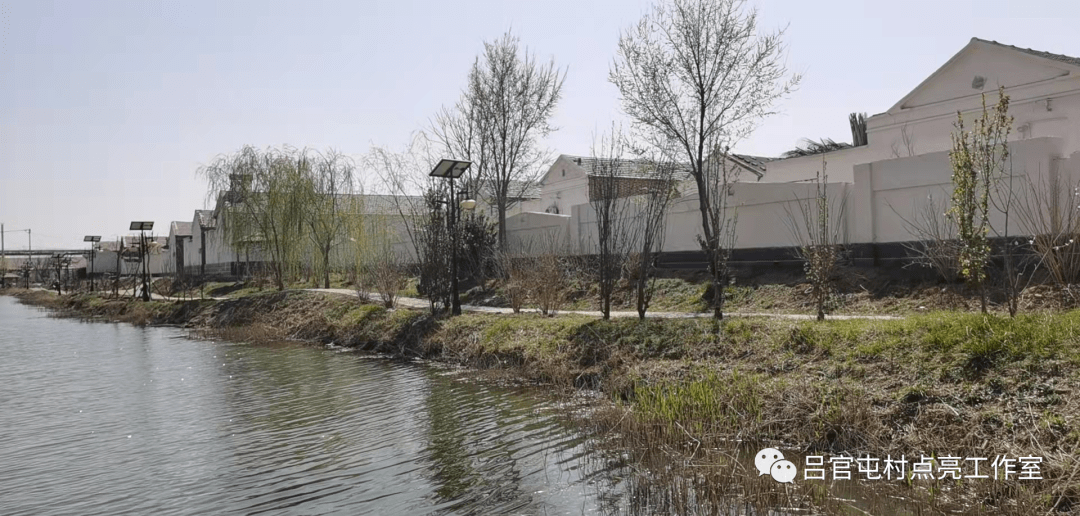 【新时代文明实践看静海】陈官屯镇吕官屯村:种树就是种幸福