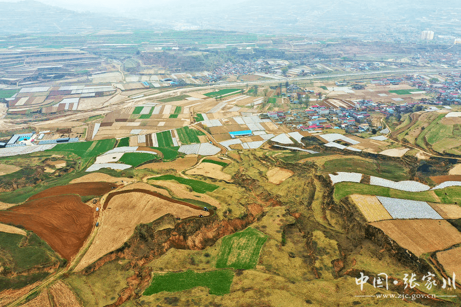 张家川县龙山镇复垦复种让撂荒地活起来