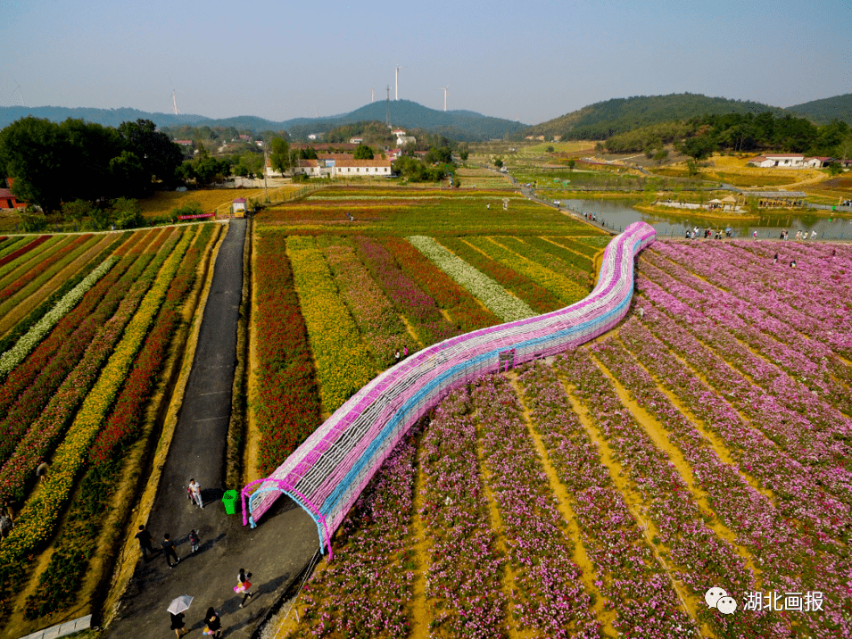 2022"荆门赏花节"奔赴圣境花谷和春天约会