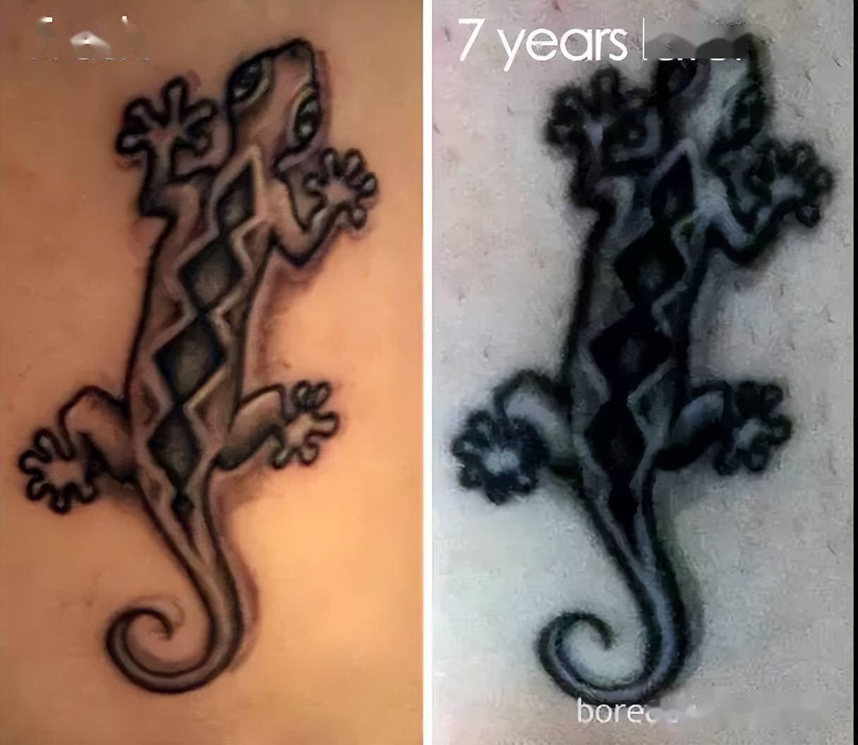 红色的金鱼变成了蓝色.褪色的纹身,变得慈祥了许多.