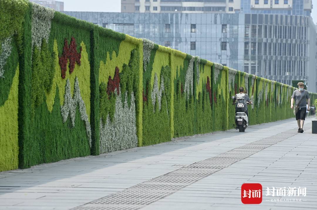 成都一建筑工地外墙有道绿色的风景_围墙_人民南路_体育馆