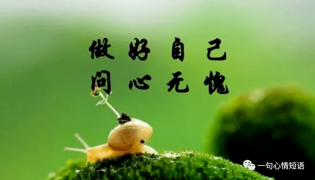 做人尽本分做事凭良心