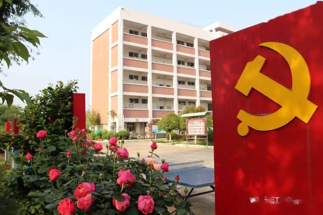 【劳动教育】劳动播撒梦想 与水稻共成长——凤山小学"水稻旱种"综合