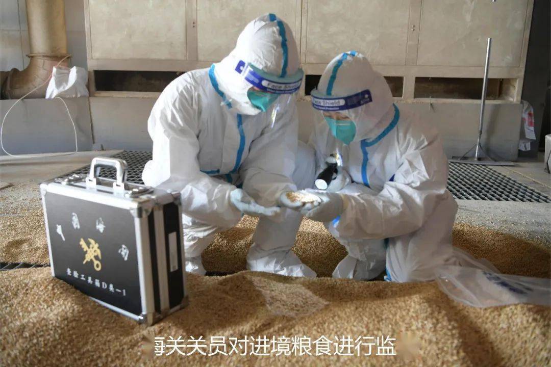 国门生物安全海关在行动