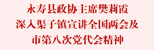 4月13日,永寿县政协党组书记,主席樊莉霞深入渠子镇