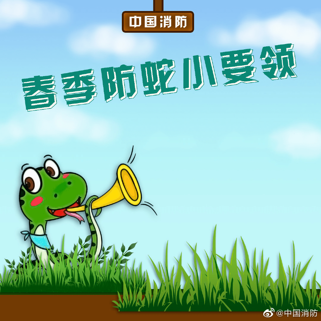 小心蛇出没这份防蛇指南请收好关键时候能保命