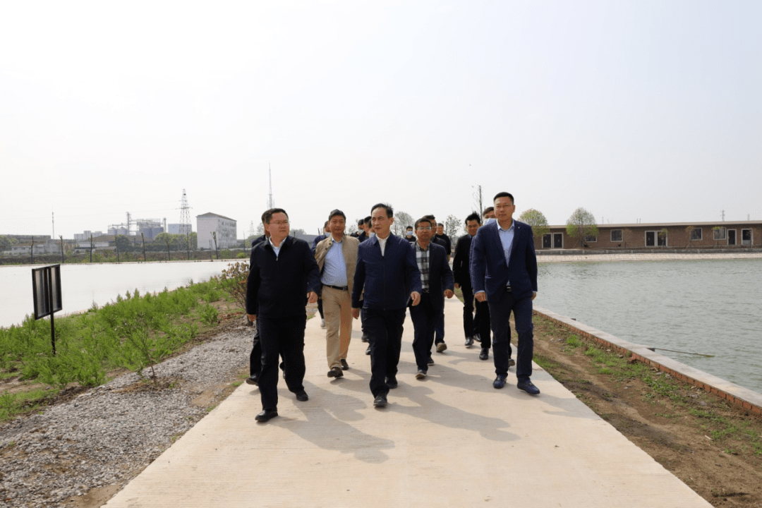 黄勇调研乡村振兴和全域国土综合整治工作_农村_沙市区_黄勇