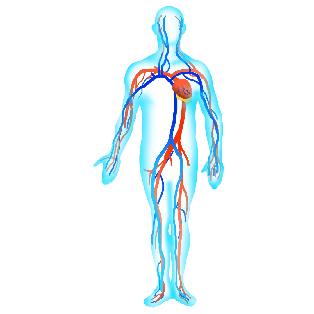 是4期严重压疮以及各类切口感染及慢性窦道等疾病开展特色医疗服务