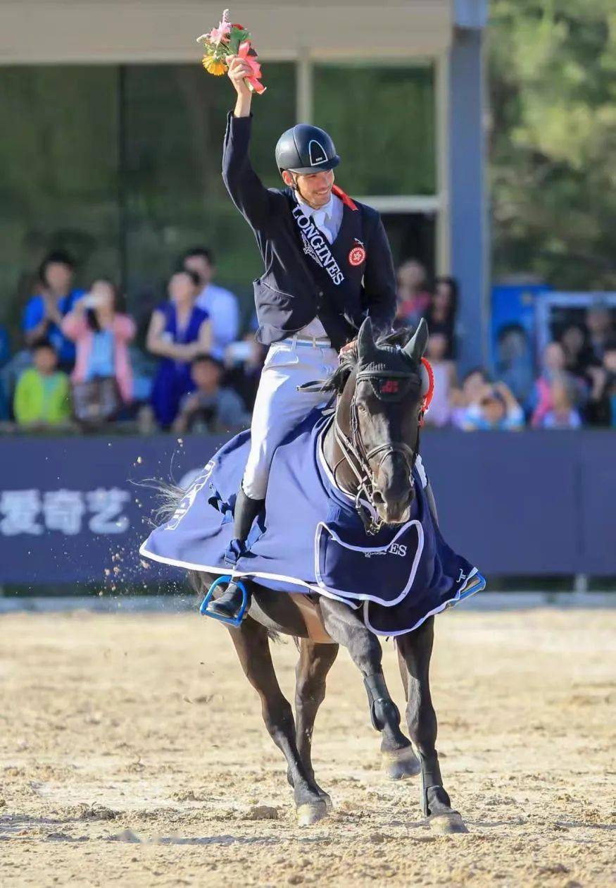 2021年度优秀种公马——比利时温血马:万库沃vainqueur(bel)_中国