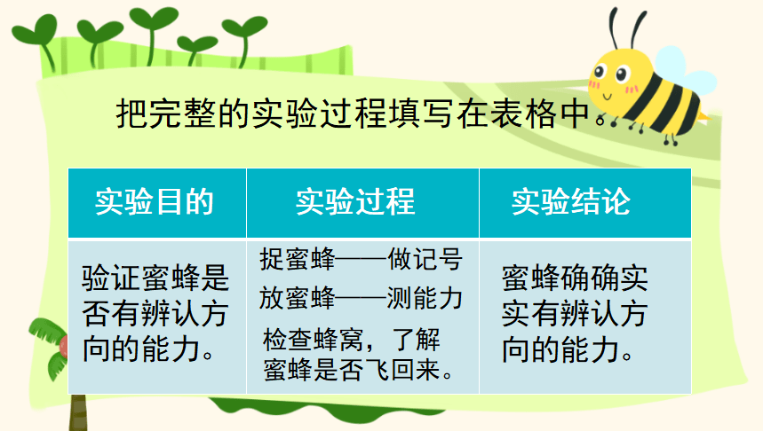 課件三年級語文下冊課文14蜜蜂