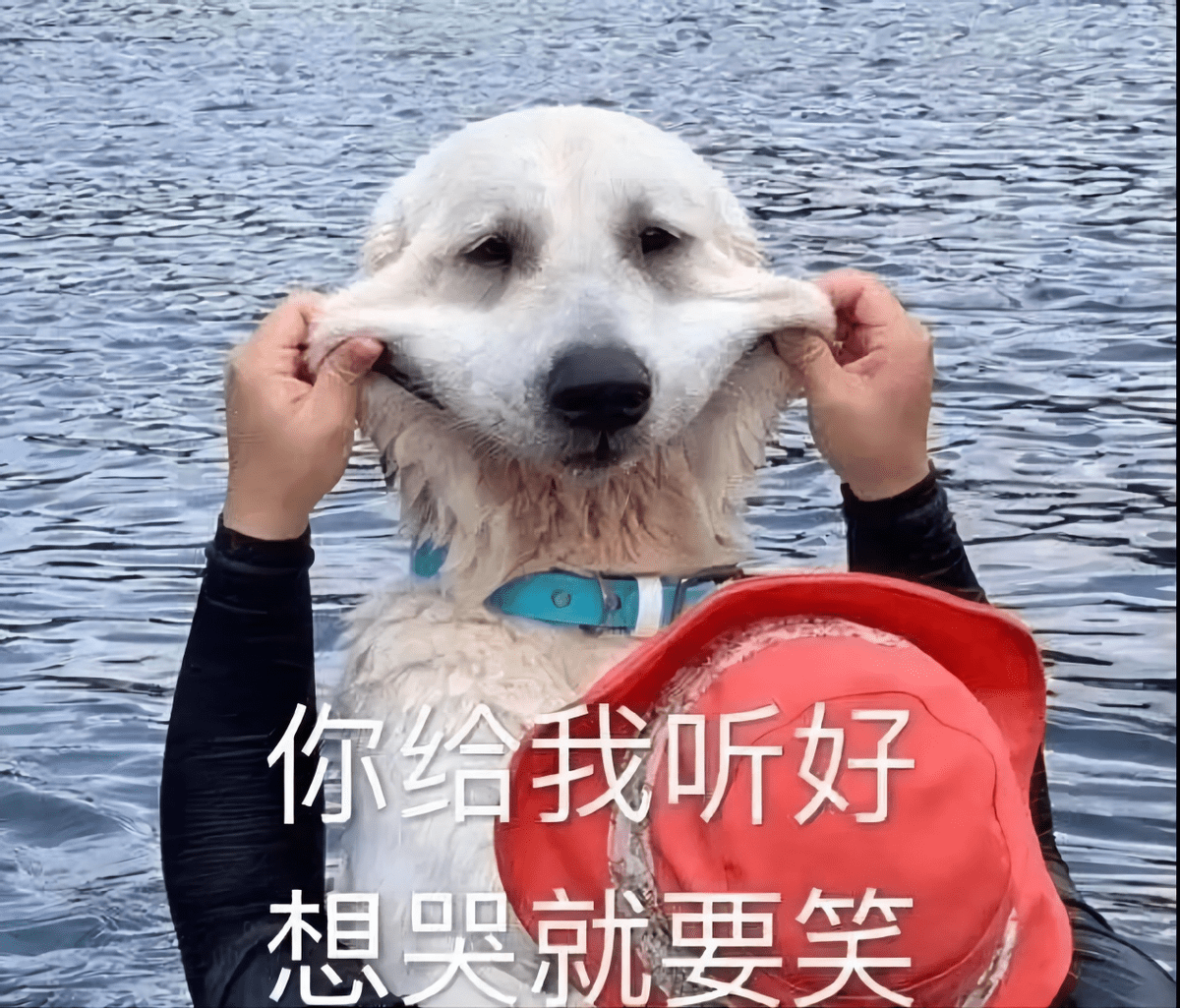 2022年没有招聘旺季1000万应届生内心焦灼