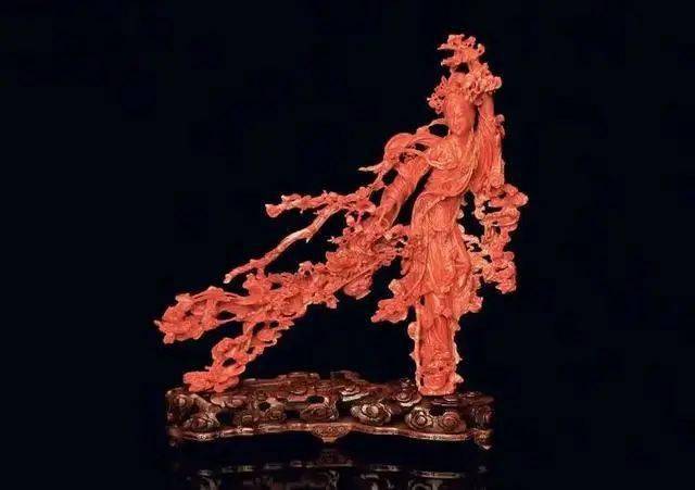 红珊瑚为什么越来越贵