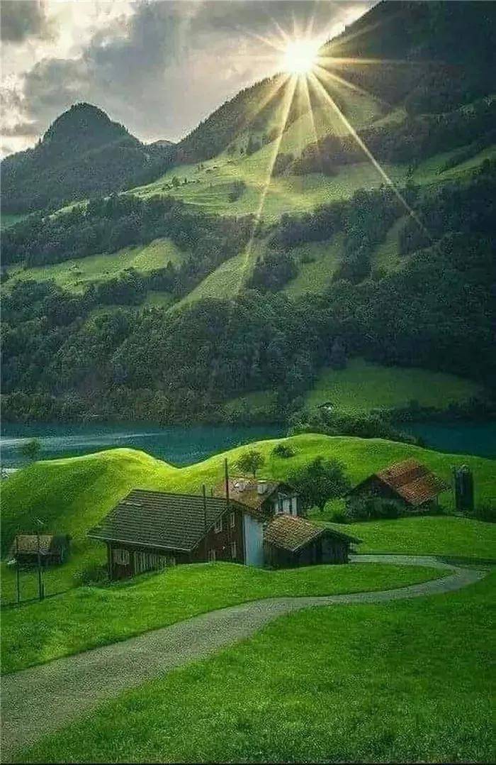 手机绿色背景壁纸图选