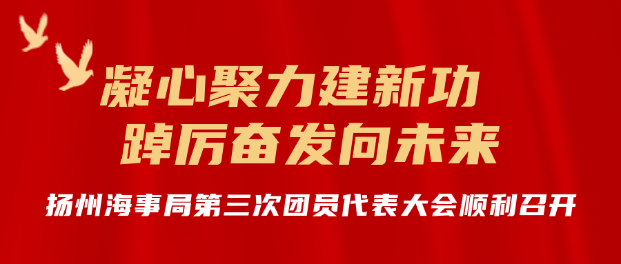 凝心聚力建新功  踔厉奋发向未来