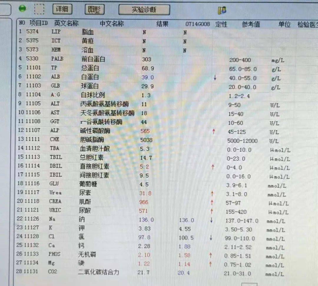 大生化报告单图片