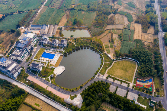 山巒起伏,空氣清新,寧靜優雅茶園,竹林環繞坐落於風光秀麗的南山竹海