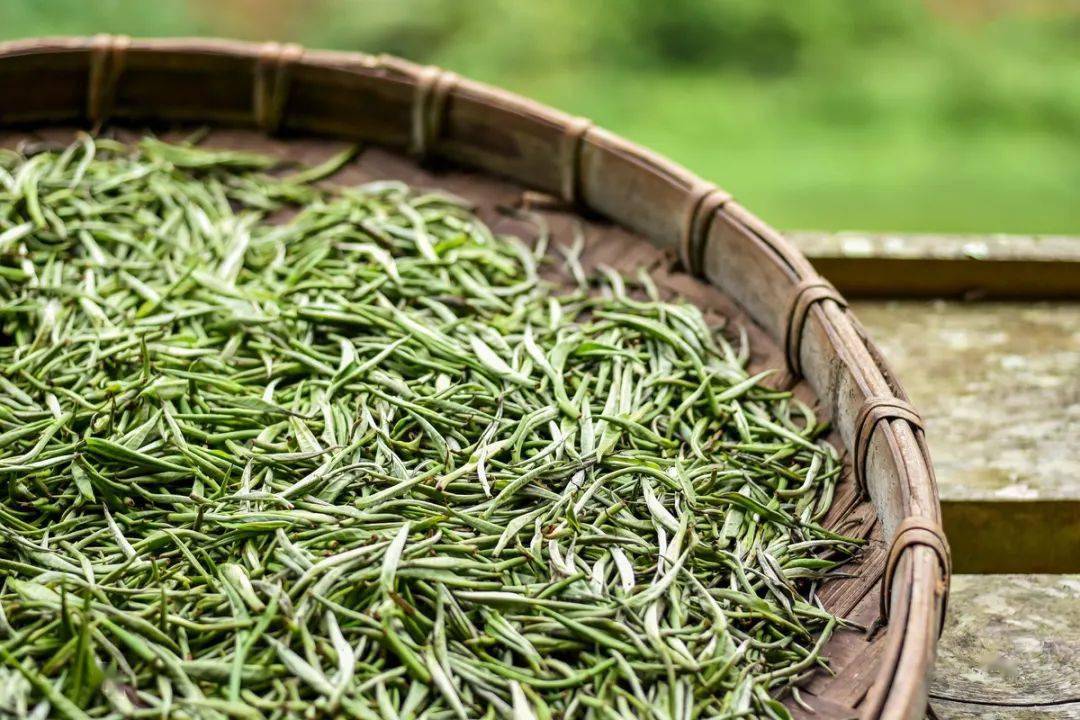 普洱茶杀青揉捻有什么作用