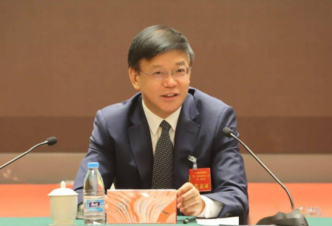 两会周建文参加崖底街道开发区代表团审议讨论