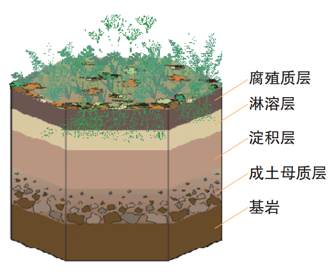 妈妈的你的朋友