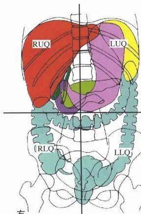 胆囊底体表投影为右侧肋弓与腹直肌外缘交界处