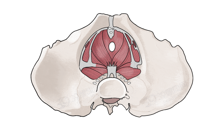 750_436gif 动态图 动图