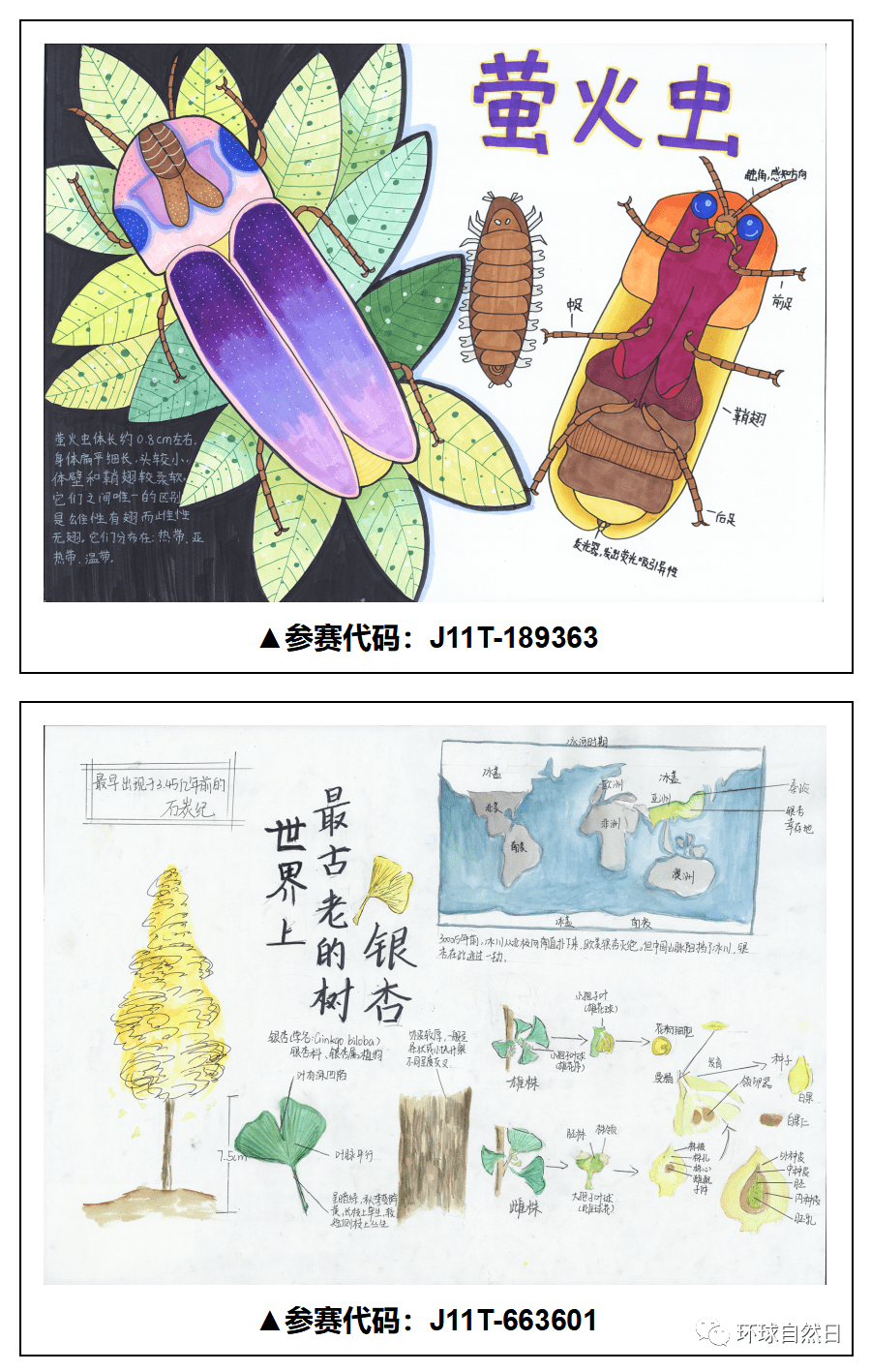 自然科普绘画简单图片