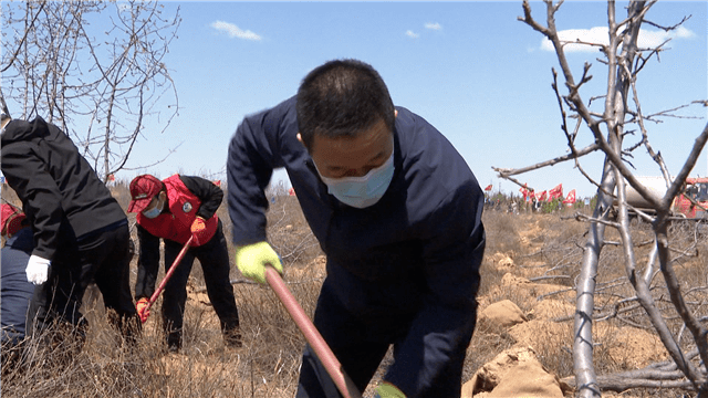 市委书记李理,市人大常委会主任张占林,市政协主席高占胜等市领导参加