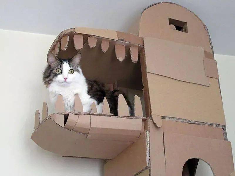 蠢喵二人组猫城堡图片