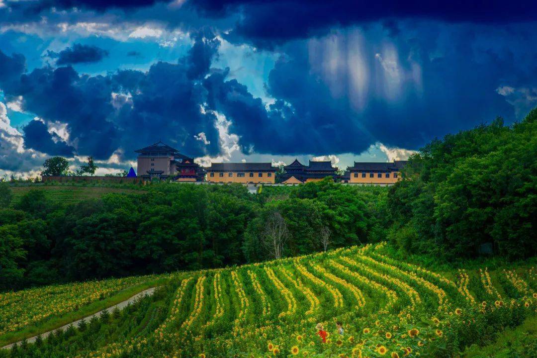 安图县摄影人优秀作品展七杨淑谦