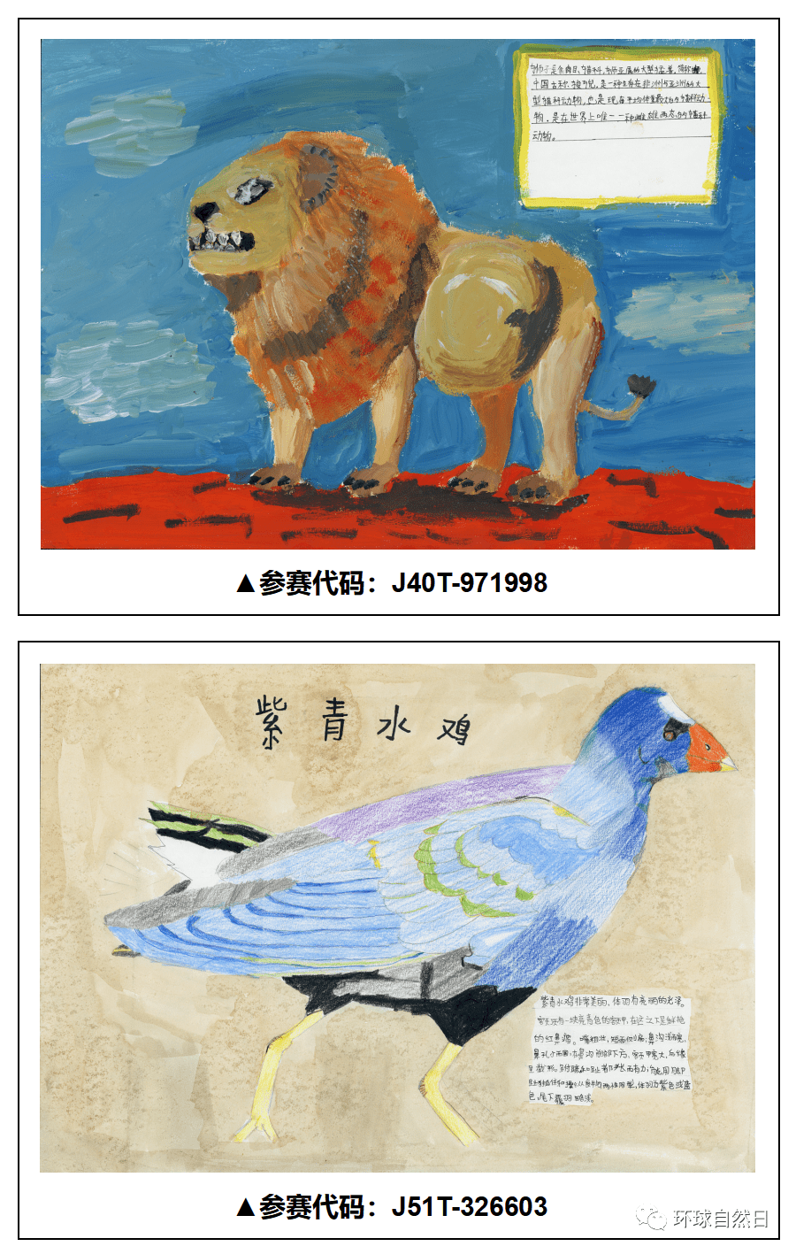 官宣环球自然日2021总决赛科普绘画作品赏析