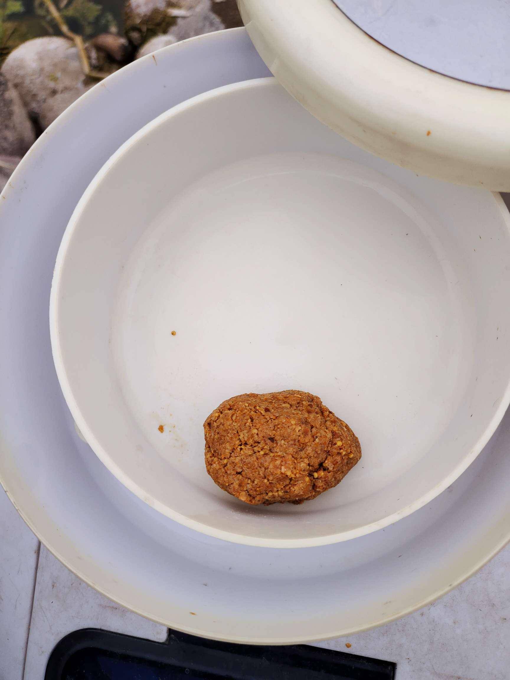 放生鱼获赶早口去钓隔夜窝切大线捞浮漂意外何其多