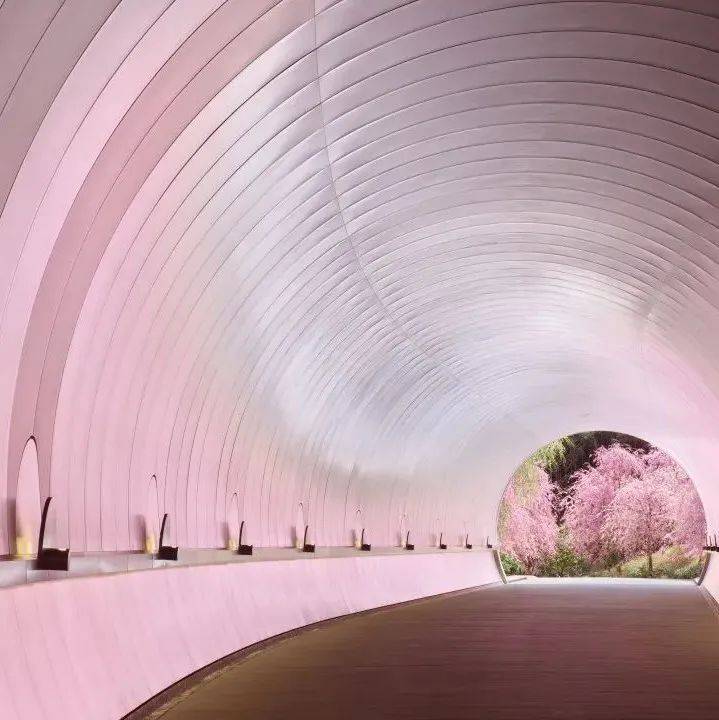 艺术和建筑的沉浸之旅-日本那些独特的美术馆_庭园_弘前_前市